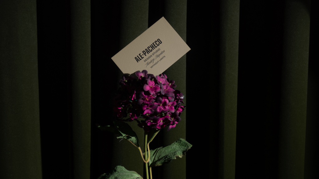 Ale Pacheco Design Studio visual identity and personal branding portfolio.